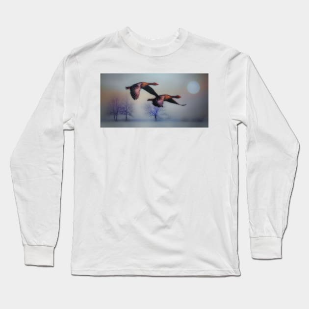 Heading South Long Sleeve T-Shirt by JimDeFazioPhotography